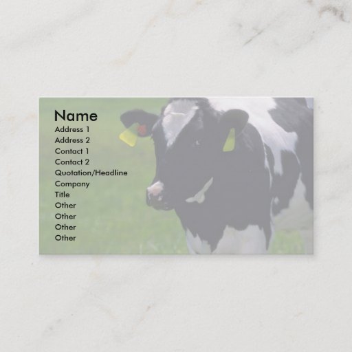 Customizable Holstein Dairy Cattle Business Card Templates