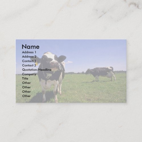 Holstein Dairy Cattle Business Card