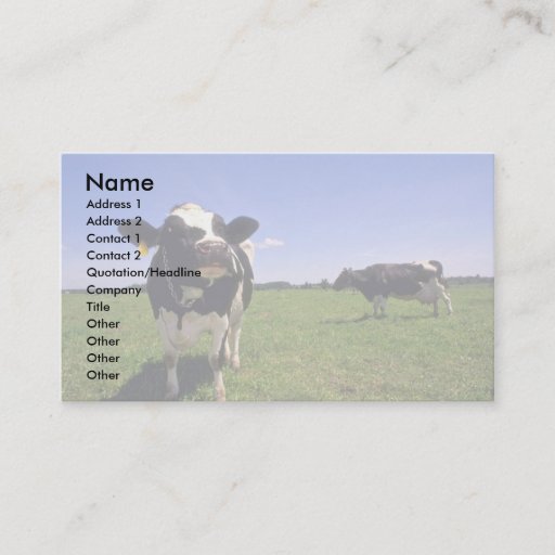 Customizable Holstein Dairy Cattle Business Card Template