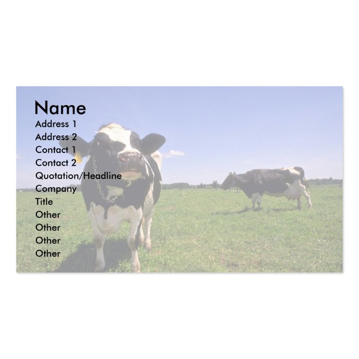 Holstein Dairy Cattle Business Card Template