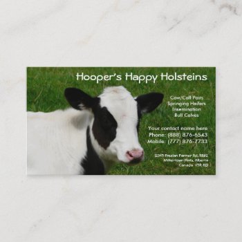 Holstein Dairy Cow Cattle Ranch Business Card by RedneckHillbillies at Zazzle