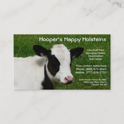 Holstein Dairy Cow Cattle Ranch Business Card