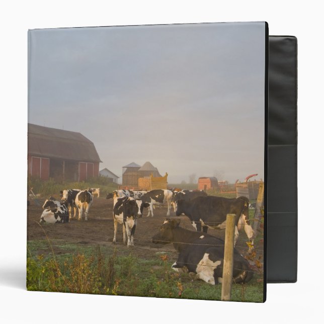 Holstein dairy cows outside a barn at sunrise binder (Front/Inside)