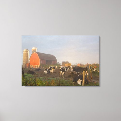 Holstein dairy cows outside a barn at sunrise canvas print