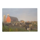 Holstein Dairy Cows Outside A Barn At Sunrise Placemat at Zazzle