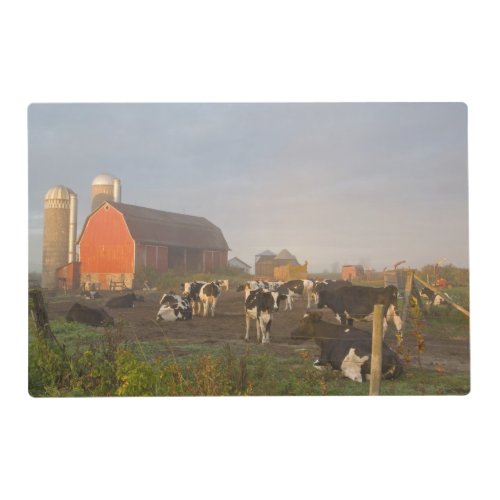 Holstein dairy cows outside a barn at sunrise placemat