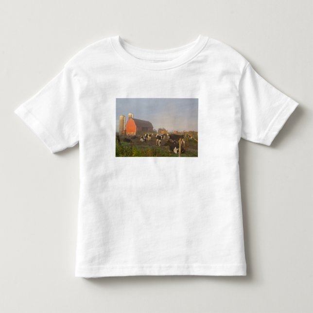 Holstein dairy cows outside a barn at sunrise toddler t-shirt (Front)