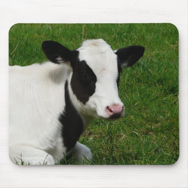 Holstein Dairy Milk Cow on Grass Mouse Pad (Front)