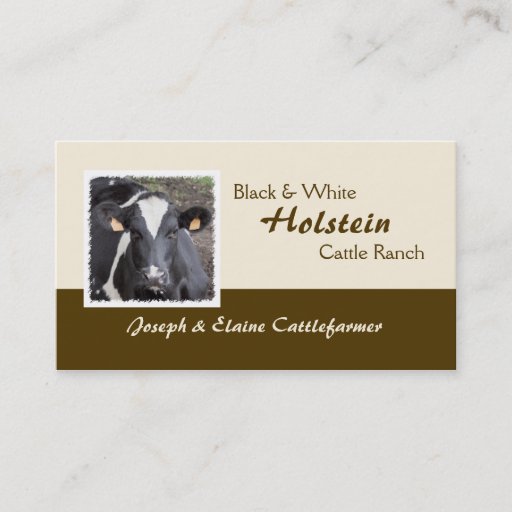 Customizable Holstein dairy or beef business card