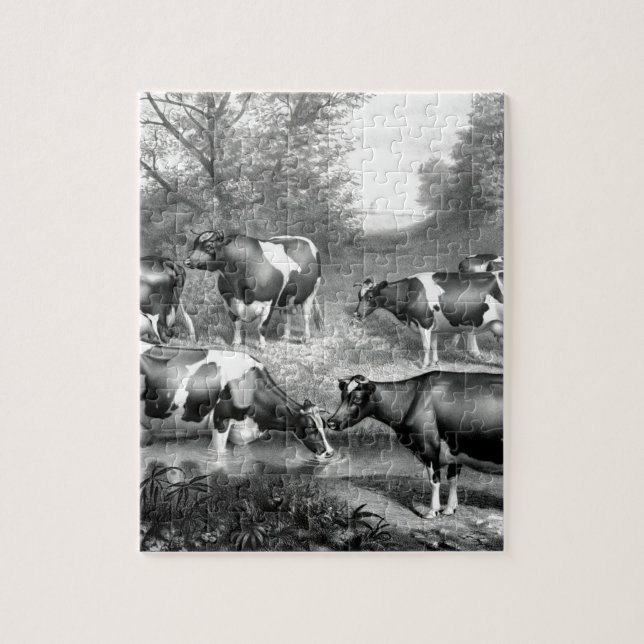 Holstein fresian cows fresian cows jigsaw puzzle (Vertical)