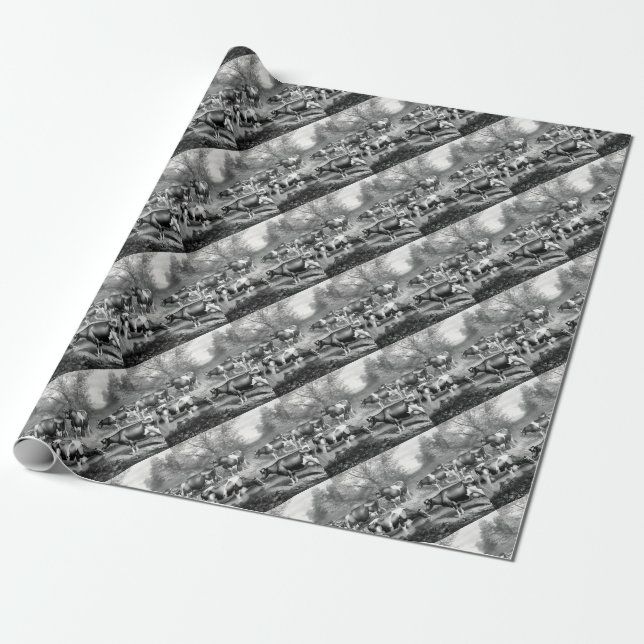 Holstein fresian cows fresian cows wrapping paper (Unrolled)