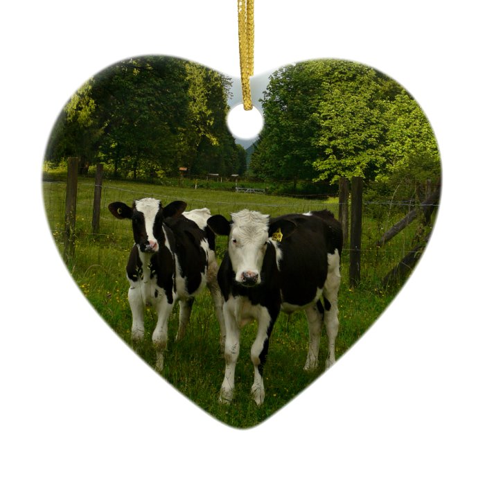 Holstein Fresian Pair of Steers Christmas Tree Ornaments