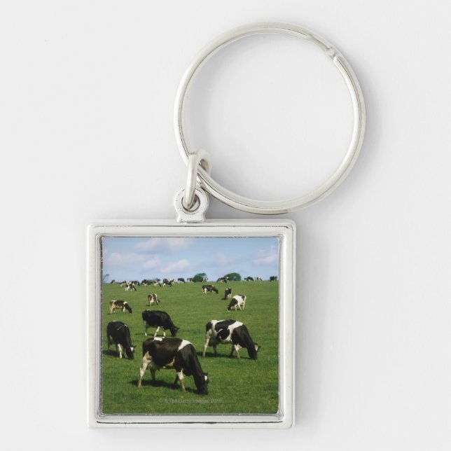 Holstein-Friesian cattle, Ireland Keychain (Front)