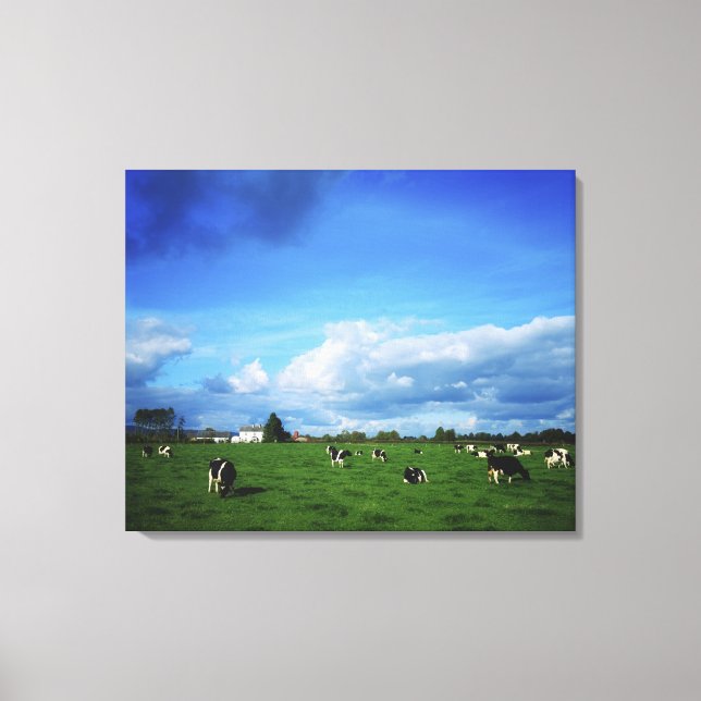 Holstein-Friesian Cattle near Thurles, Co Canvas Print (Front)