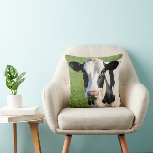 Holstein Heifer In Pasture Throw Pillow