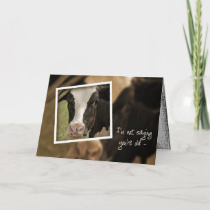 Holstein Humor for Birthday Card