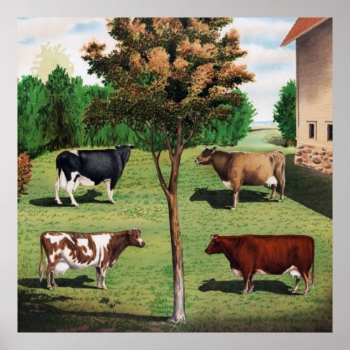 Holstein Jersey Ayrshire  Shorthorn cows Poster