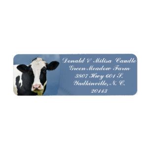 HOLSTEIN LABEL