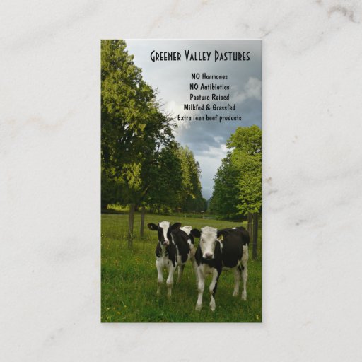 Customizable Holstein Veal Baby Beef Farm Business Cards