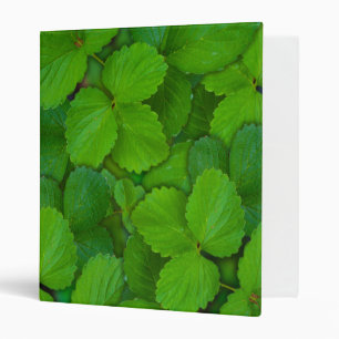 Holy Basil Tulsi Green Mint Leaves 3 Ring Binder