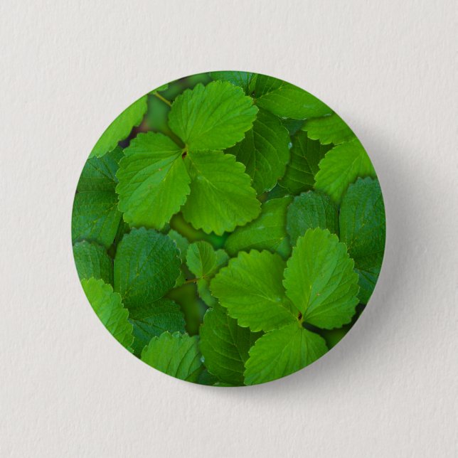 Holy Basil Tulsi Green Mint Leaves Button (Front)