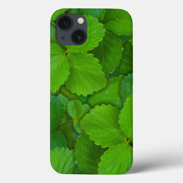Holy Basil Tulsi Green Mint Leaves Case-Mate iPhone Case (Back)