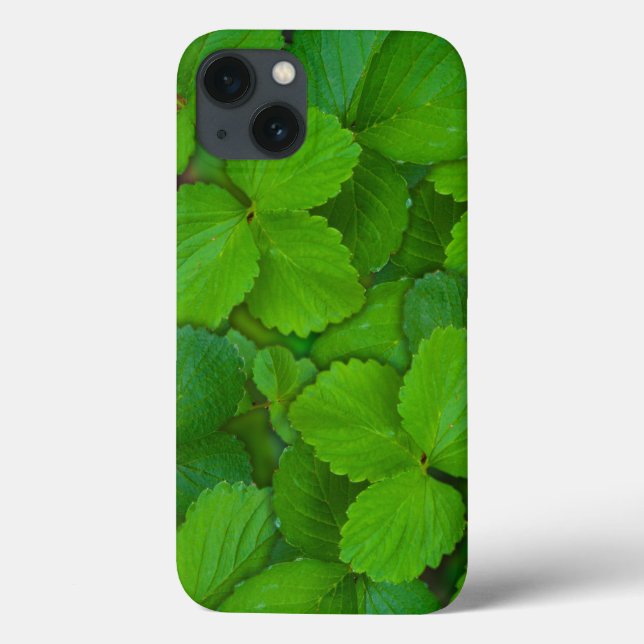 Holy Basil Tulsi Green Mint Leaves Case-Mate iPhone Case (Back)