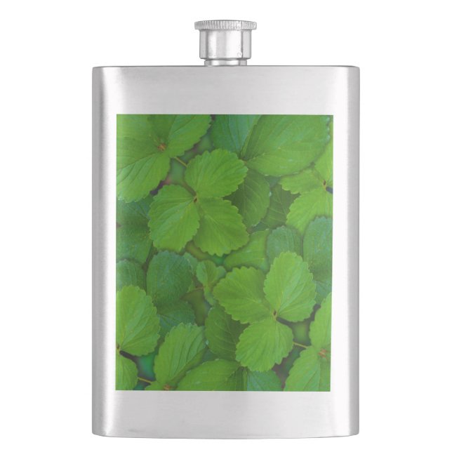 Holy Basil Tulsi Green Mint Leaves Hip Flask (Front)