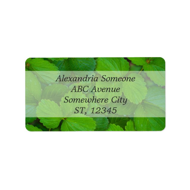 Holy Basil Tulsi Green Mint Leaves Label (Front)