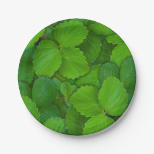 Holy Basil Tulsi Green Mint Leaves Paper Plates