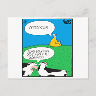 Holy Cow 2017 Zazzle Postcard