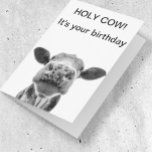 Holy Cow Birthday Black White Cow  Card<br><div class="desc">This design may be personalized by choosing the Edit Design option. You may also transfer onto other items. Contact me at colorflowcreations@gmail.com or use the chat option at the top of the page if you wish to have this design on another product or need assistance. See more of my designs...</div>