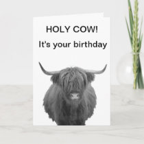 Holy Cow Birthday Highland Cow  Card