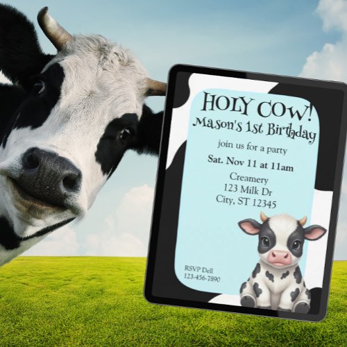 Holy Cow, blue, cow 1st Birthday