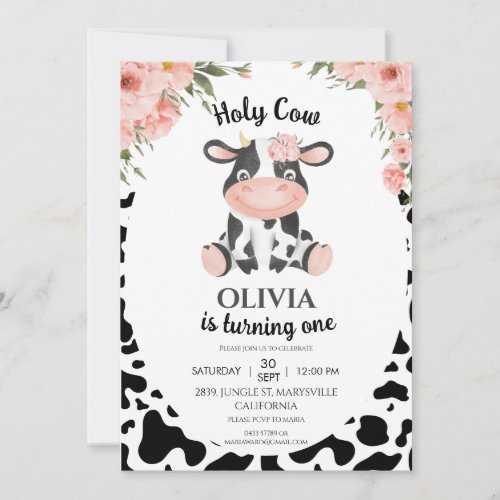 Holy cow Farm animals Barnyard 1st 2nd Birthday