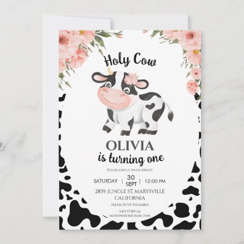 Holy cow Farm animals Barnyard 1st 2nd Birthday