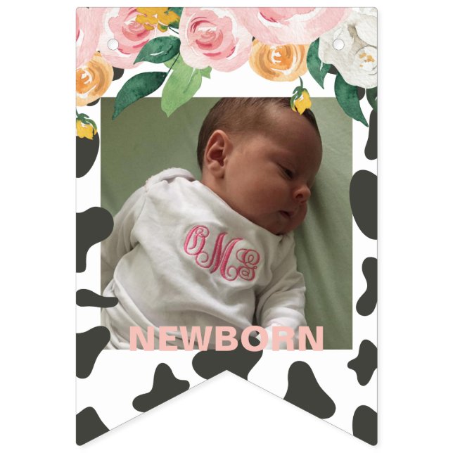 Holy Cow first birthday 12 month Photo Bunting Flags (Second Flag)