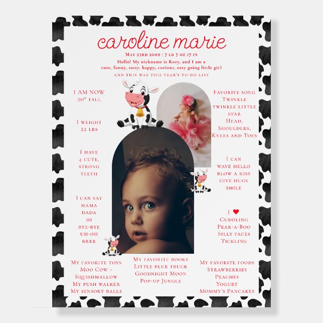 Holy Cow Girl Pink Baby First Birthday Milestone Foam Board (Front)