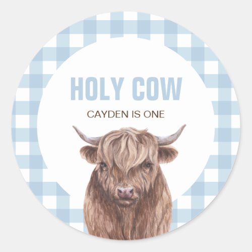 Holy Cow Im One blue Plaid birthday Classic Round Classic Round Sticker