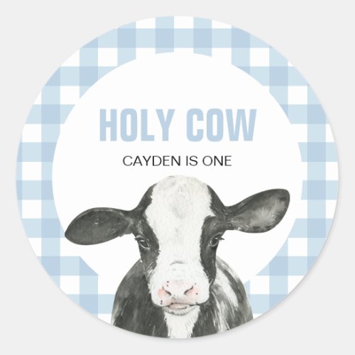 Holy Cow Im One blue Plaid birthday Classic Round Sticker