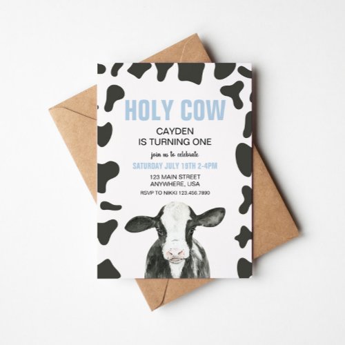 Holy Cow Im One blue Plaid Birthday Invitation