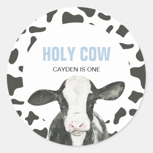 Holy Cow Im One Cow Print birthday Classic Round  Classic Round Sticker
