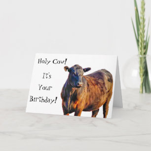 Holy Cow It's Your Birthday! Funny Animal Card