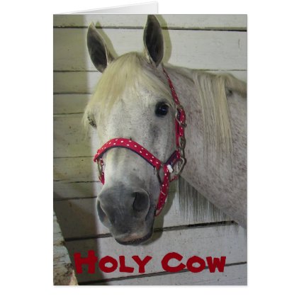 HOLY COW ***MERRY CHRISTMAS*** TO YOU CARD