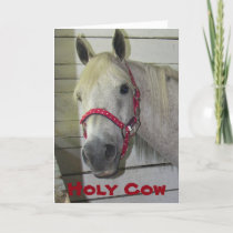 HOLY COW ***MERRY CHRISTMAS*** TO YOU HOLIDAY CARD