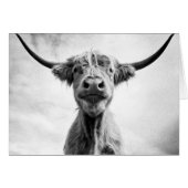 Holy Cow Mesotint Style Art Photography L (Front Horizontal)