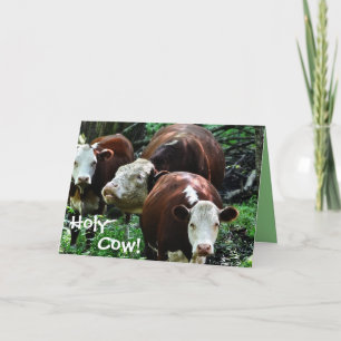 Holy Cow Over The Hill Birthday Card
