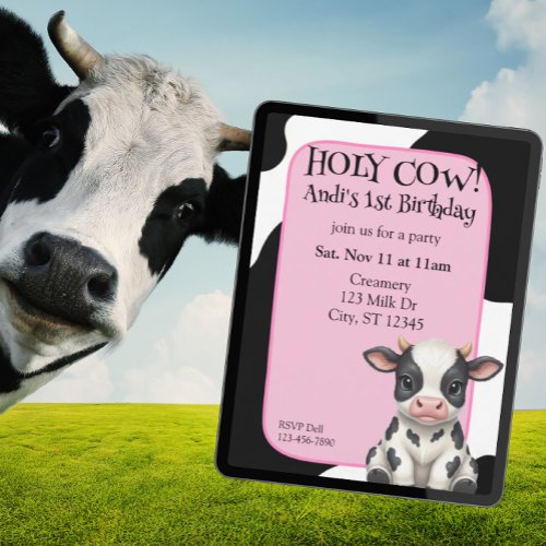 Holy Cow, pink, cow 1st Birthday