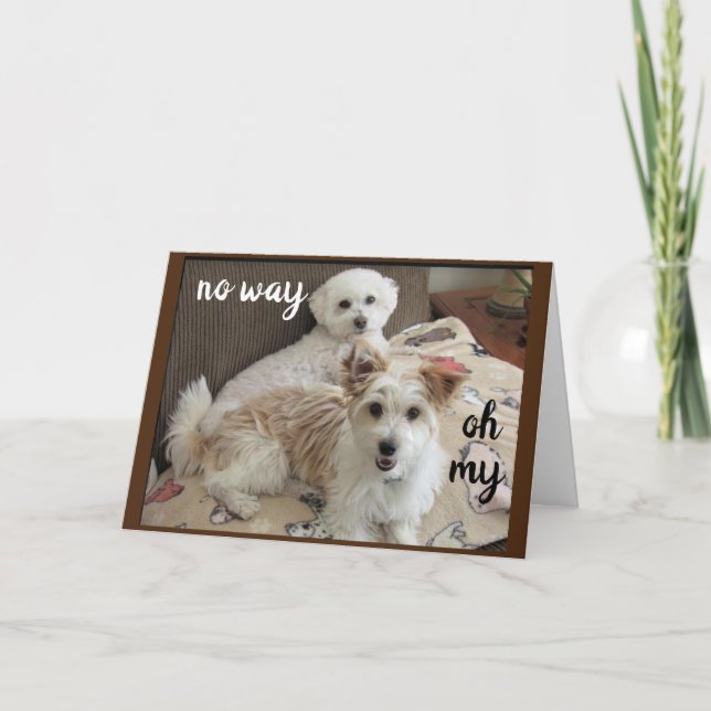HOLY COW SAY THE PUPS "YOU ARE TURNING 60" CARD (Front)