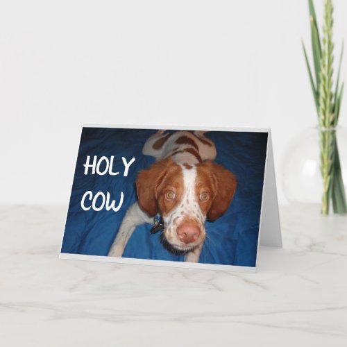 HOLY COW SAYS PUP YOU ARE TURNING 60 CARD